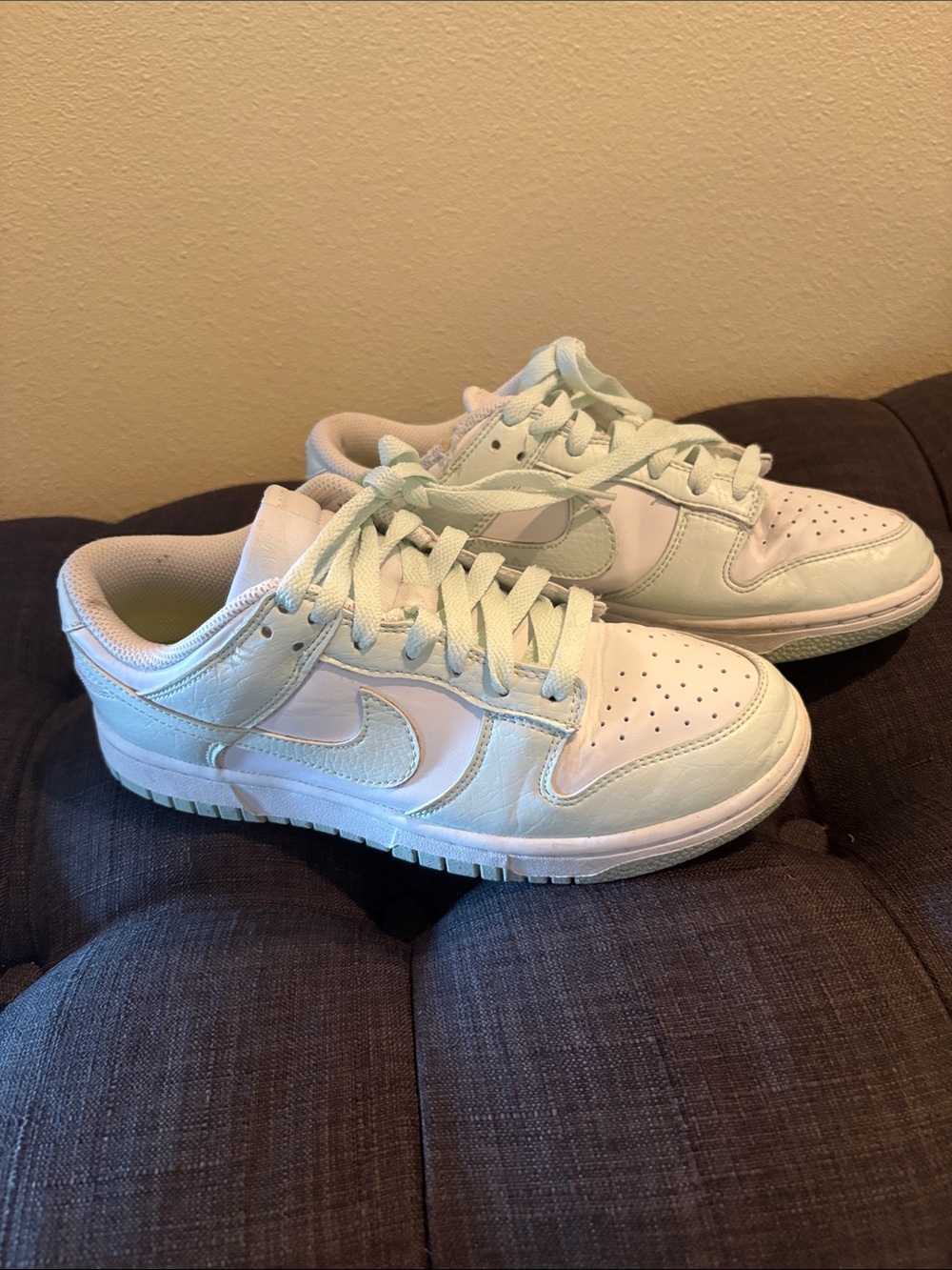 Nike Dunks